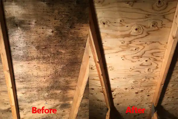 water damage restoration service Hailesboro